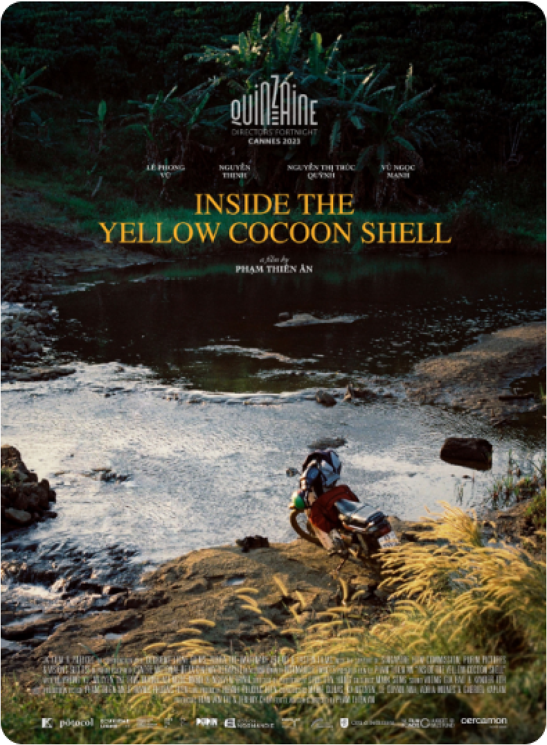 INSIDE THE YELLOW COCOON SHELL